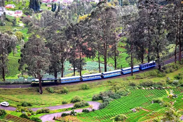 Luxury Tempo Traveller Ooty