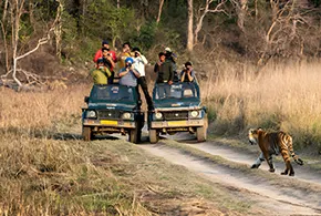 Delhi to Jim Corbett