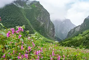 Delhi to Valley of Flowers